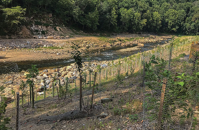 Bloede dam site shoreline